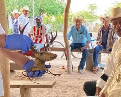 Pueblo Yaqui recibe el Maaso Koba y objetos ceremoniales repatriados desde Suecia