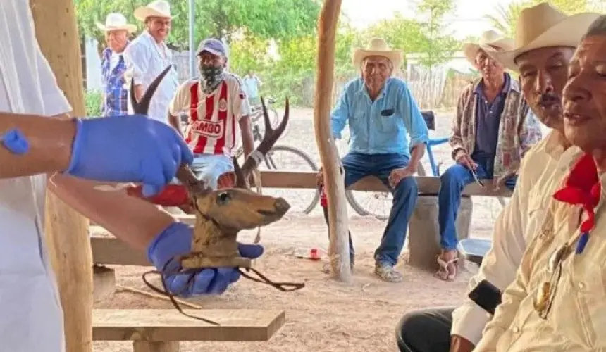 Pueblo Yaqui recibe el Maaso Koba y objetos ceremoniales repatriados desde Suecia