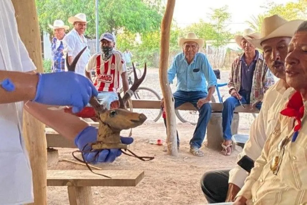 Pueblo Yaqui recibe el Maaso Koba y objetos ceremoniales repatriados desde Suecia