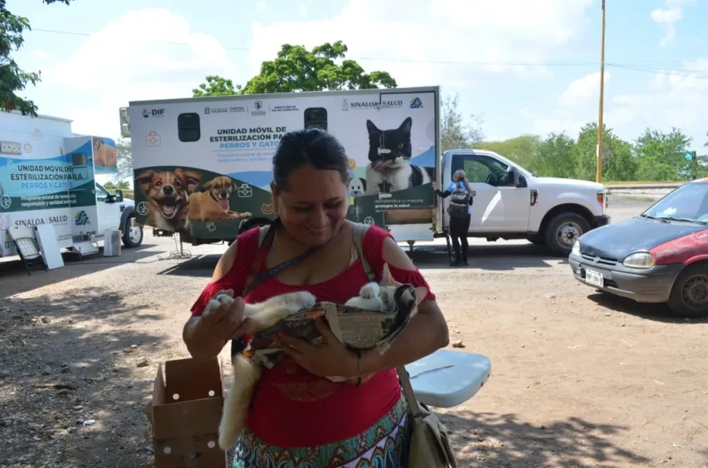 Otra de las recomendaciones dadas a conocer por la Dirección de Salud Municipal, es que las mascotas hembra o macho sean mayores de cinco meses y hasta ocho años de edad. Fotos: Juan Madrigal