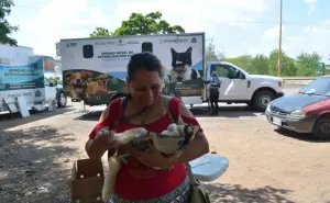 Exitosa jornada de esterilización de perros y gatos en el Parque Culiacán