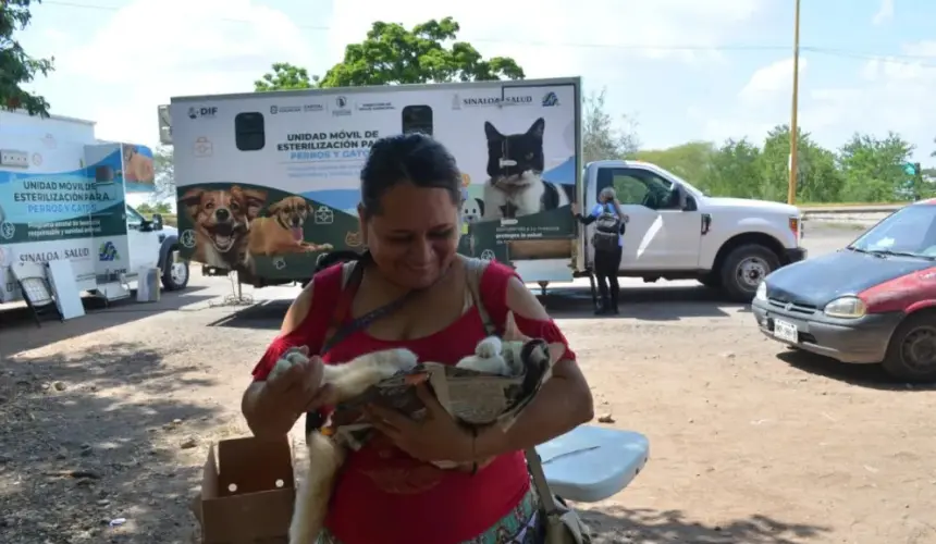 Otra de las recomendaciones dadas a conocer por la Dirección de Salud Municipal, es que las mascotas hembra o macho sean mayores de cinco meses y hasta ocho años de edad.  Fotos: Juan Madrigal