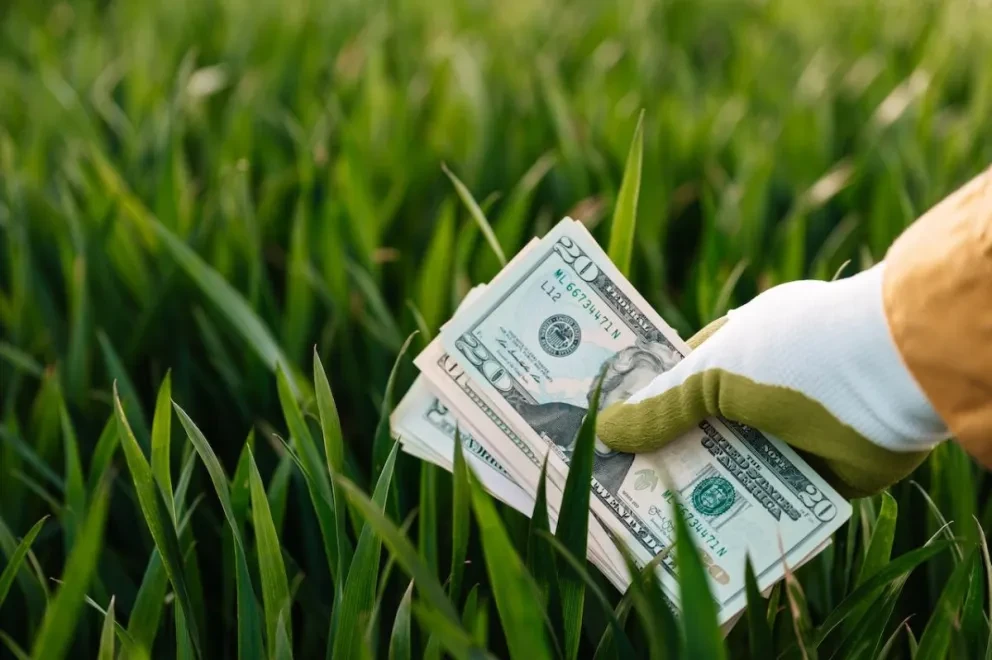 Precio del dólar en México. Foto: Pexels