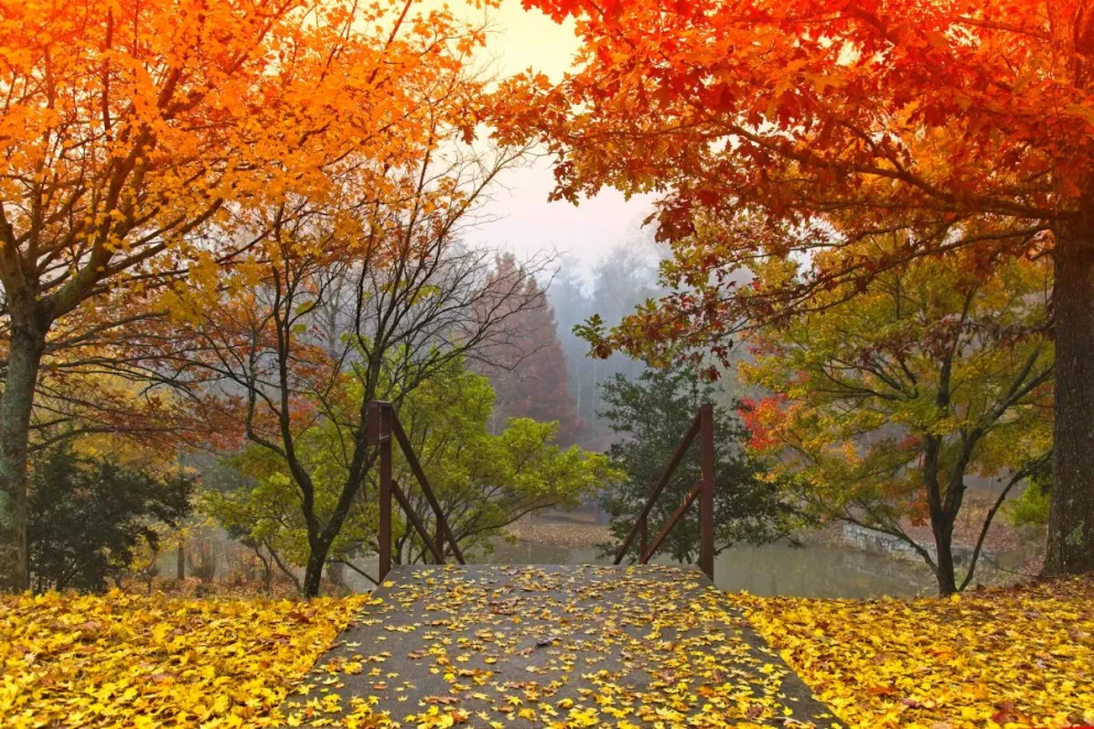 Frases para darle la bienvenida al mes de octubre. Foto: Alfred Schrock 