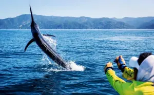 Disfruta de un emocionante fin de semana junto al mar con el ExpoFest Náutica Nuevo Altata 2023