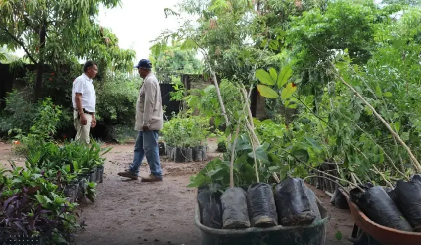 El Gobierno de Sinaloa dona más 2 mil plantas que adornarán “Perla Camaronera”