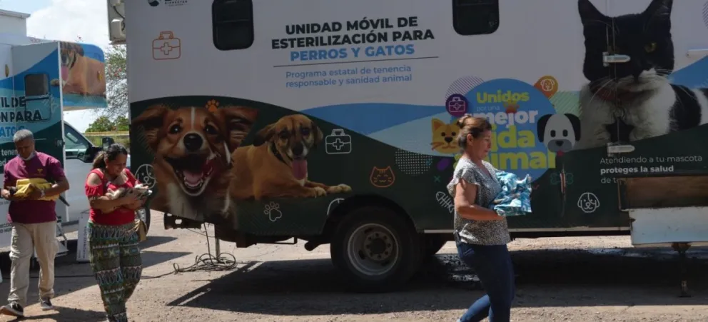 Invitan a esterilizar a perros y gatos en el estado de Zacatecas. Foto: Cortesía