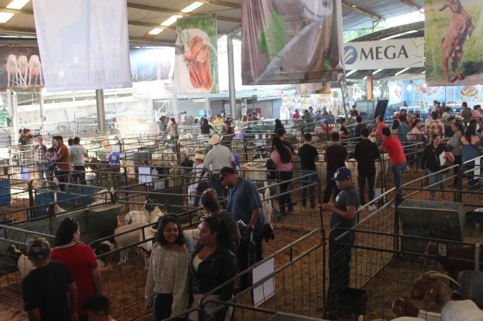 Expo Ganadera de Jalisco 2023. Foto: Cortesía