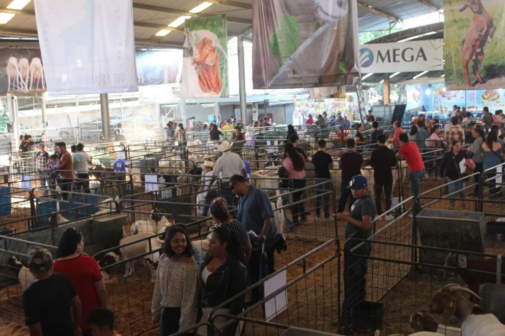 Expo Ganadera de Jalisco 2023. Foto: Cortesía