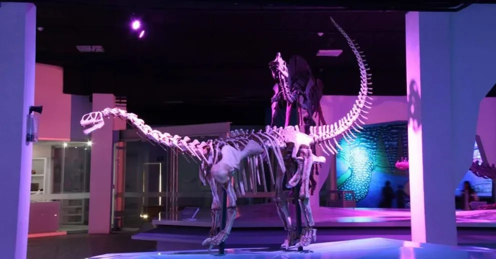 Foto: Museo de la Evolución