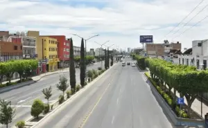 Plantan árboles y embellecen León, Guanajuato