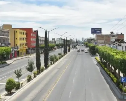 Plantan árboles y embellecen León, Guanajuato