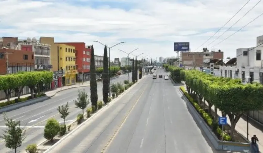 Plantan árboles y embellecen León, Guanajuato