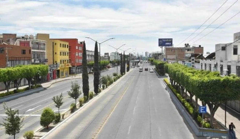 Plantan árboles y embellecen León, Guanajuato