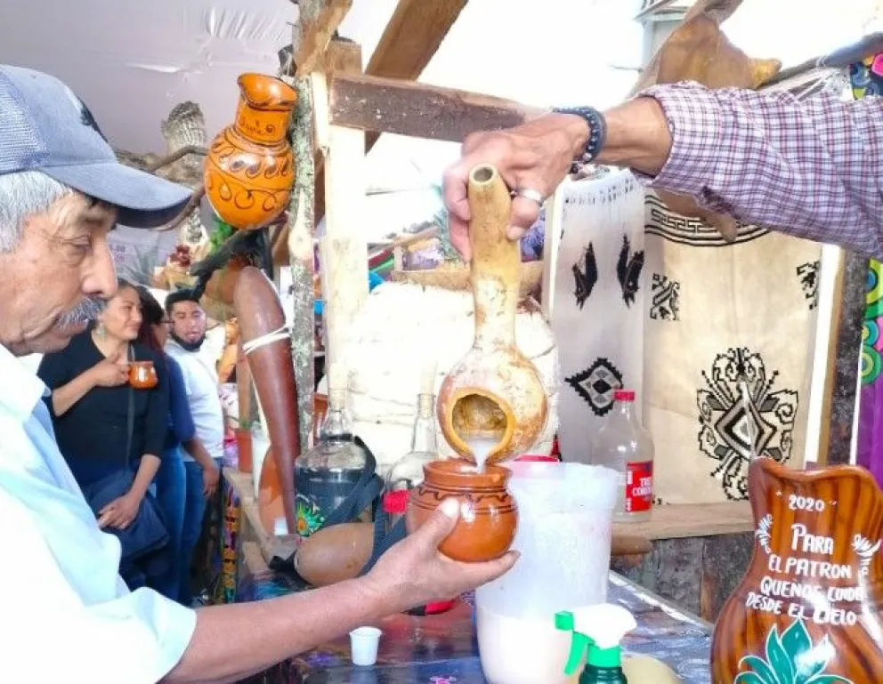 Jiquipilco, Estado de México: Donde la tradición y el sabor se fusionan en cada gota de pulque