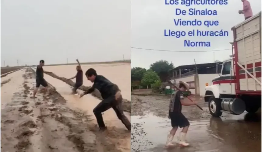 Con bailes en la lluvia los agricultores sinaloenses celebraron las lluvias que trajo la tormenta Norma. Fotos: TikTok