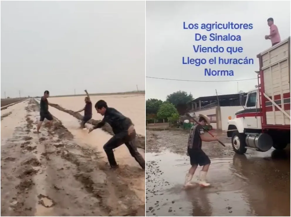 Con bailes en la lluvia los agricultores sinaloenses celebraron las lluvias que trajo la tormenta Norma. Fotos: TikTok