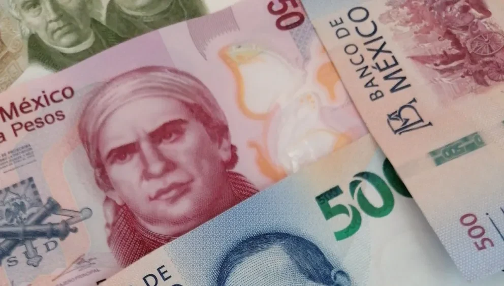 IMSS otorga pensiones por fallecimiento, quien tiene derecho de heredarla y cuantos tipos hay