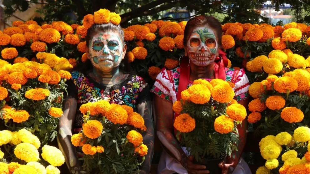 Diferencia entre la flor de Cempasúchil China y mexicana.