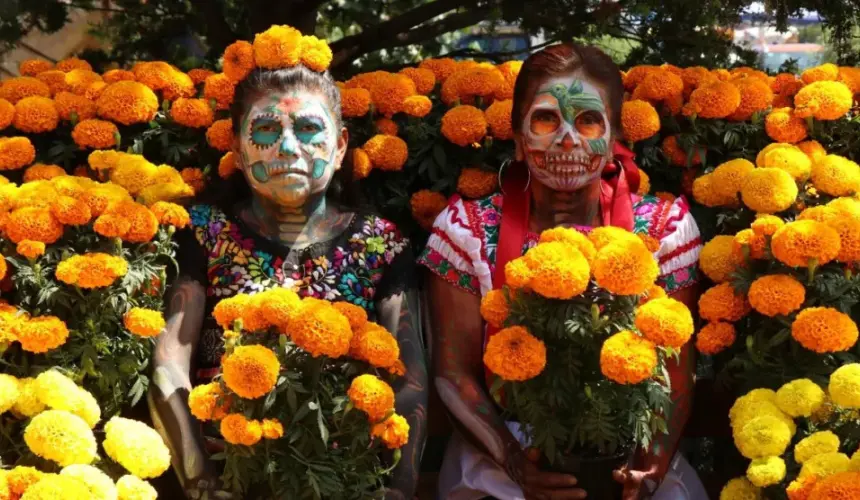 Diferencia entre la flor de Cempasúchil China y mexicana.