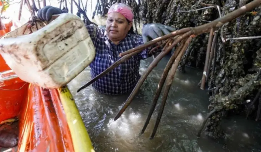 Yanett Castro es una mujer ejemplar, luchadora social y líder pesquera originaria de Altata, Navolato. Foto: Cortesía