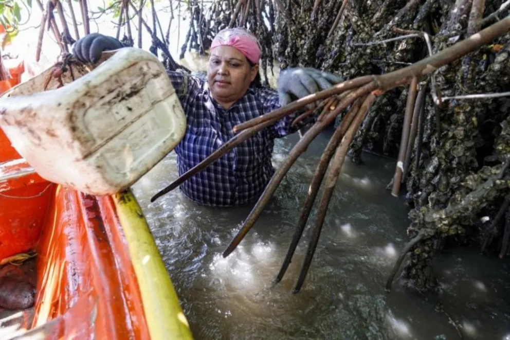 Yanett Castro es una mujer ejemplar, luchadora social y líder pesquera originaria de Altata, Navolato. Foto: Cortesía