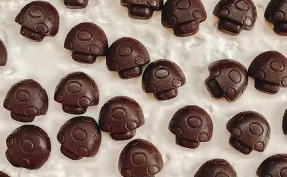 ¿Qué son los chocohongos?