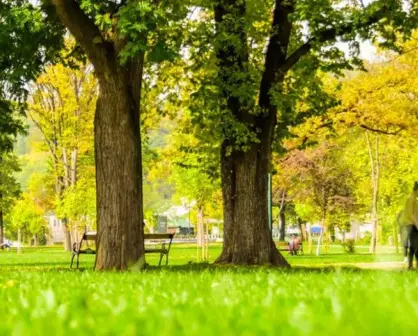 Importancia de las áreas verdes en las ciudades