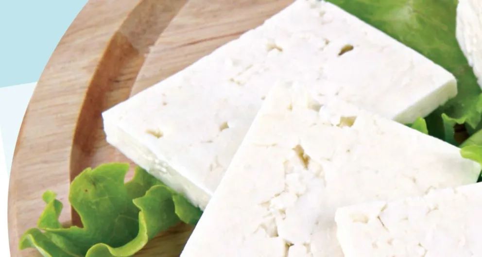 Conoce el queso panela con mejores nutrientes recomendado por PROFECO