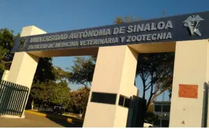 La Facultad Veterinaria de la UAS, en primer lugar de investigación de calidad en todo México
