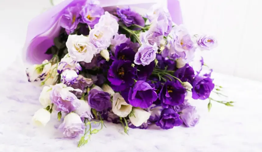 Significado de regalar flores moradas el 9 de noviembre. Foto: Freepik