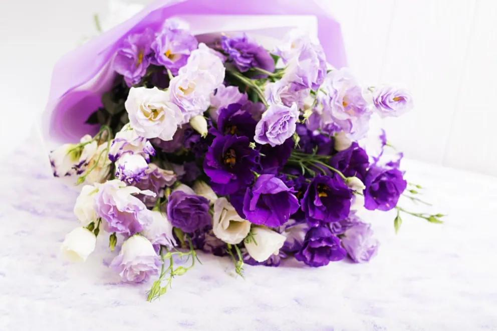 Significado de regalar flores moradas el 9 de noviembre. Foto: Freepik