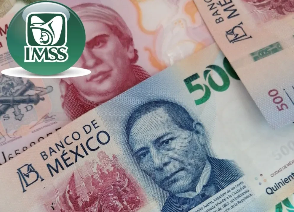 Modalidad 40 del IMSS.