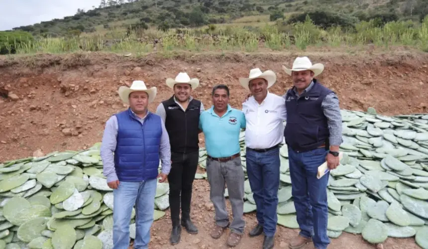 Promueve SEDEA siembra de nopal como cultivo alternativo. Foto: Cortesía