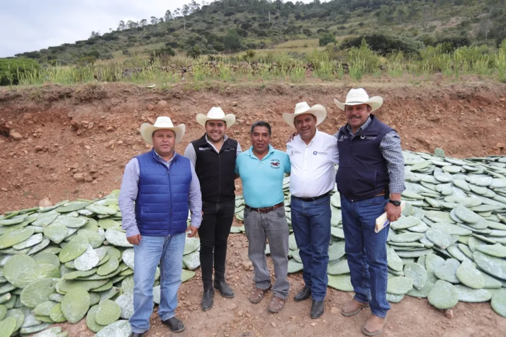 Promueve SEDEA siembra de nopal como cultivo alternativo. Foto: Cortesía