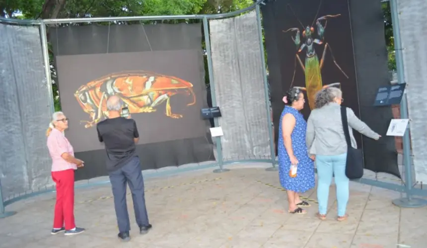 La maravillosa exposición tiene el objetivo de introducir a las familias culiacanenses al maravilloso mundo de los insectos, que conozcan más de ellos y su importancia en el equilibrio del medio ambiente. Fotos: Juan Madrigal