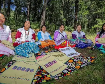 Descubre la magia de la comunidad Mazahua