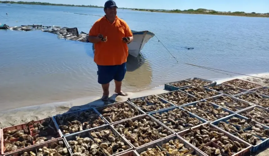 Visitando La Granja del Jefe, con una de las mejores producciones de ostiones en todo el estado de Sinaloa.