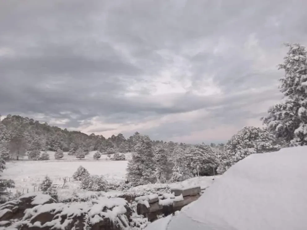 Se reportó caída de nieve en algunos lugares de Chihuahua. Foto: Protección Civil