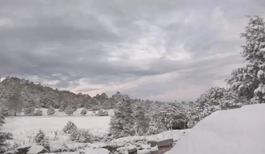 Se reportó caída de nieve en algunos lugares de Chihuahua. Foto: Protección Civil