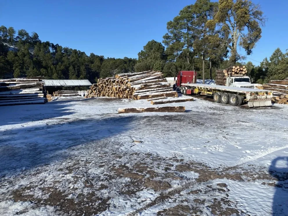 Entérate en qué lugares de Sinaloa cae nieve