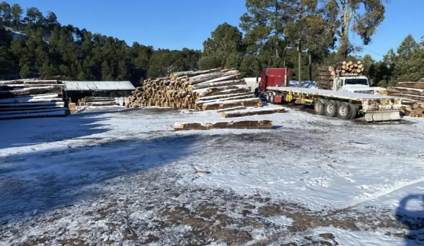 Entérate en qué lugares de Sinaloa cae nieve