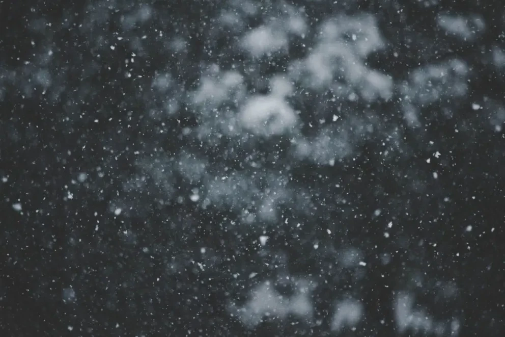 Primera tormenta invernal en México: Videos de sitios cubiertos por la nieve