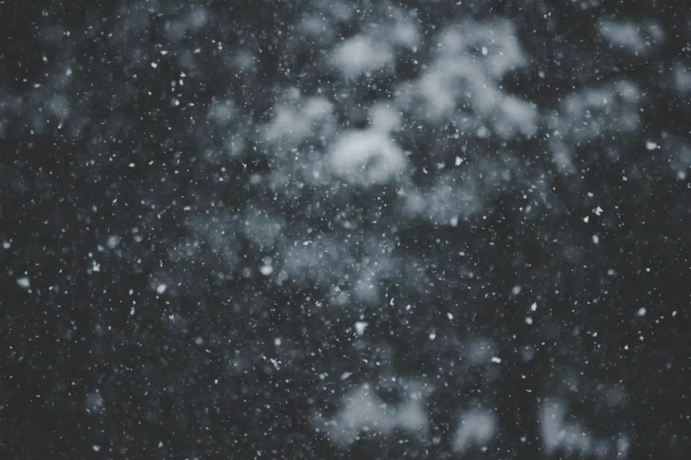 Primera tormenta invernal en México: Videos de sitios cubiertos por la nieve