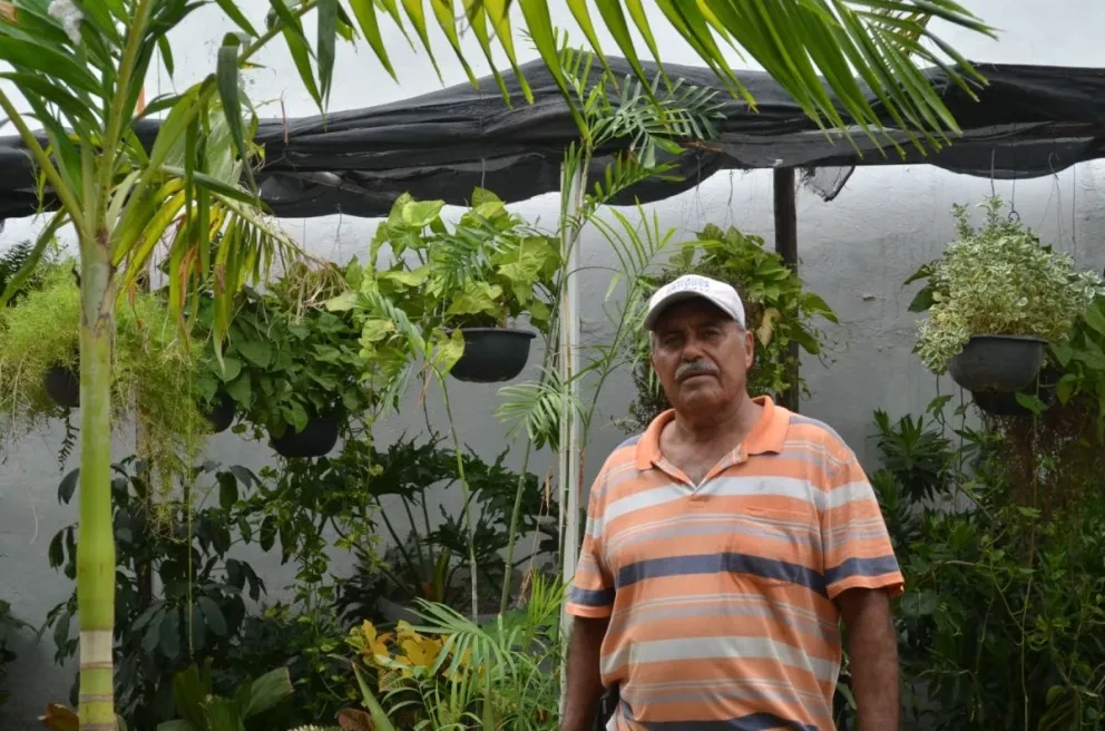 Jorge también vende en su vivero maceteros y tierra preparada para las plantas sobre el bulevar Agricultores, esquina con la calle 17 en la colonia Guadalupe Victoria. En un horario de 8:00 A.M. a 6:00 P.M. Fotos: Juan Madrigal