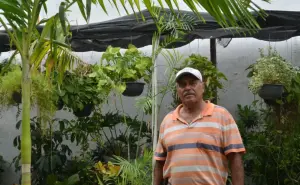 Jorge es un apasionado de las plantas, con un vivero encontró sustento en el bulevar Agricultores en Culiacán