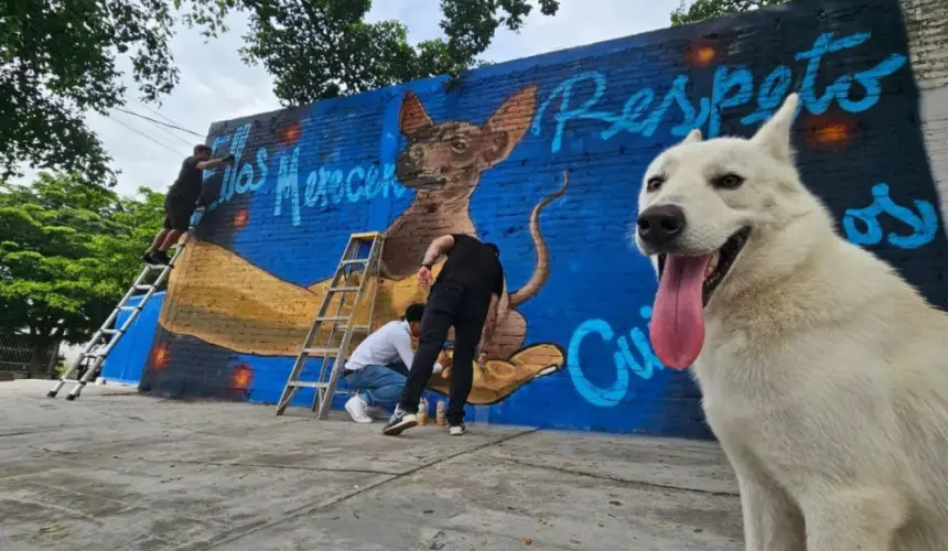 Tres murales se pintaron en la escuela secundaria SNTE 53, que se ubica en la colonia Miguel Hidalgo en Culiacán.