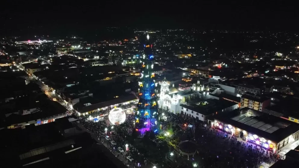 En pie el árbol más alto del país, Foto vía: Ayuntamiento de Chignahuapan