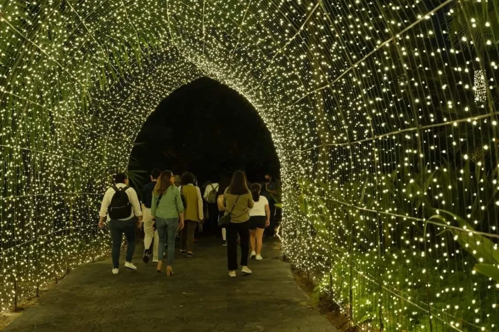 ¡Vive la magia de la Navidad con las noches más brillantes en Jardín Botánico Culiacán!