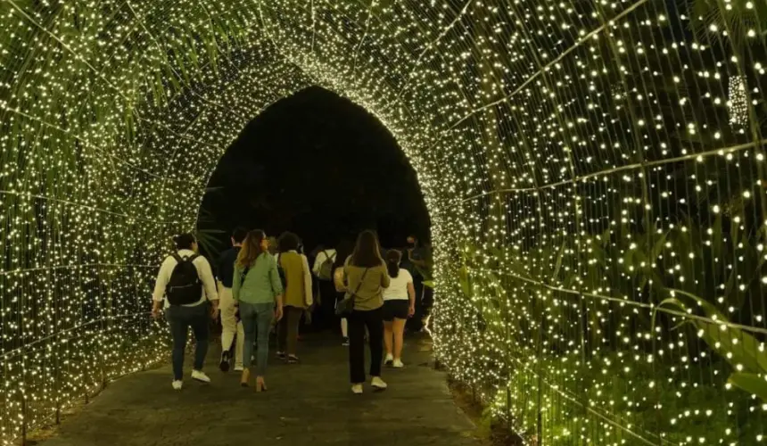  ¡Vive la magia de la Navidad con las noches más brillantes en Jardín Botánico Culiacán!